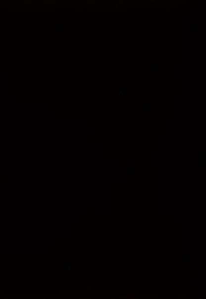 Kimonte Rectangular Dining Room Table