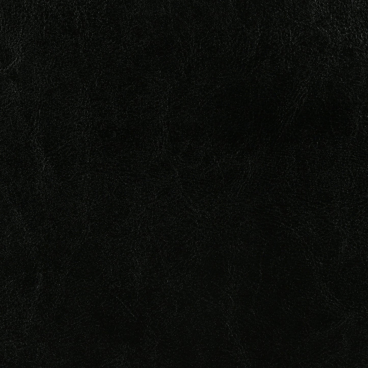 Dorian Faux Leather Upholstered Twin Panel Bed Black
