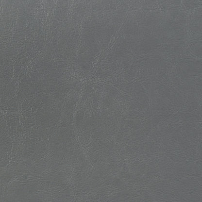 Dorian Faux Leather Upholstered California King Bed Grey