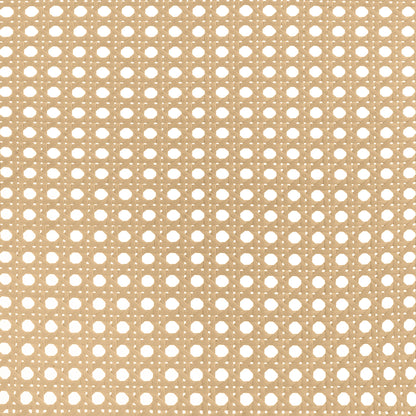 Lanewood Open Cane Webbing Metal Eastern King Bed White