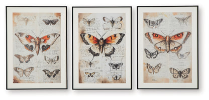 Jossletts Wall Art Set (3/CN)