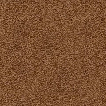 Carianna Loveseat