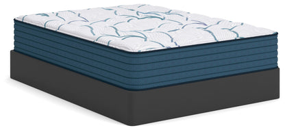 Limited Edition Plush 3.0 Queen Mattress